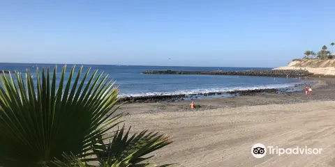 Playa del Duque