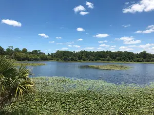 Ollie's Pond Park