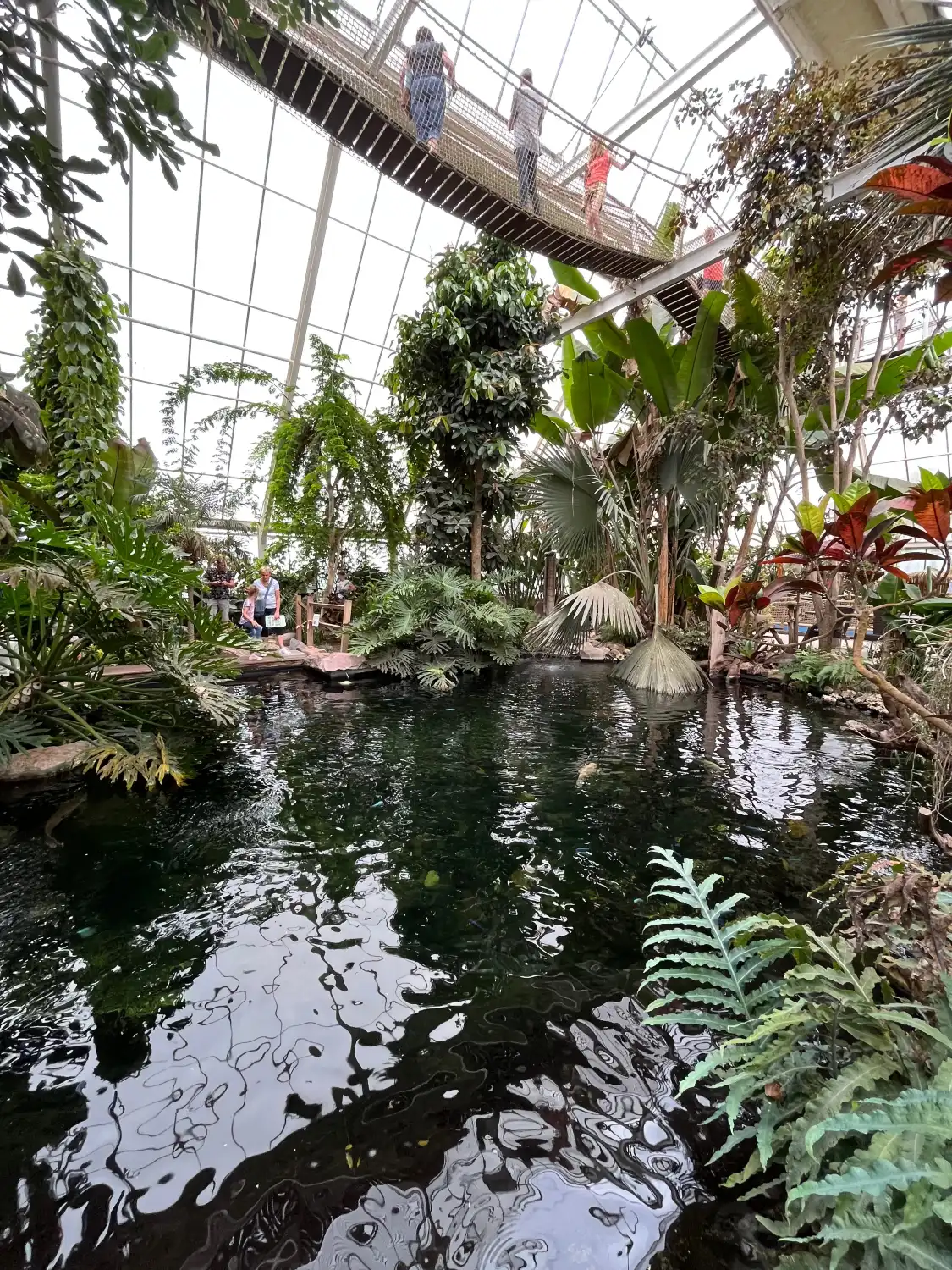 Hotels in der Nähe von Klein Costa Rica