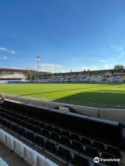 Estadio Dino Manuzzi