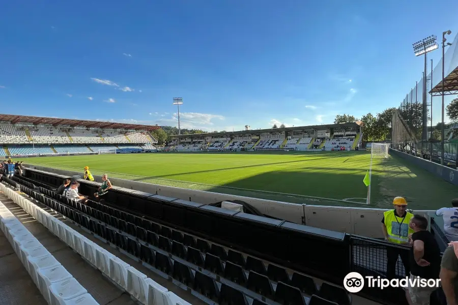 Orogel Stadium "Dino Manuzzi"