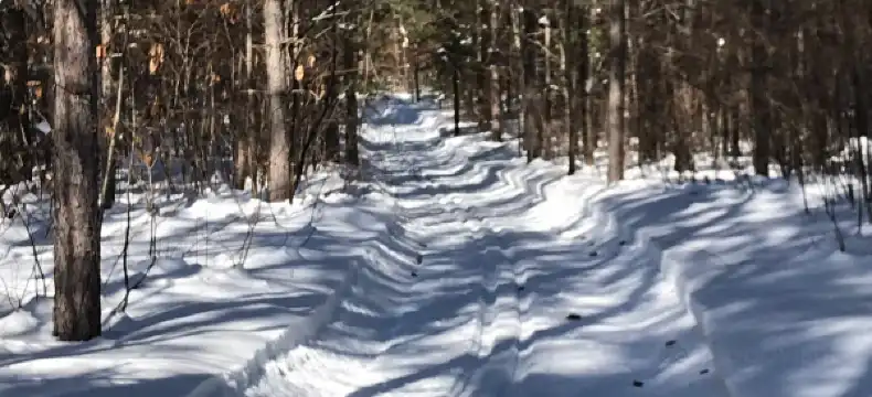 Vilas County