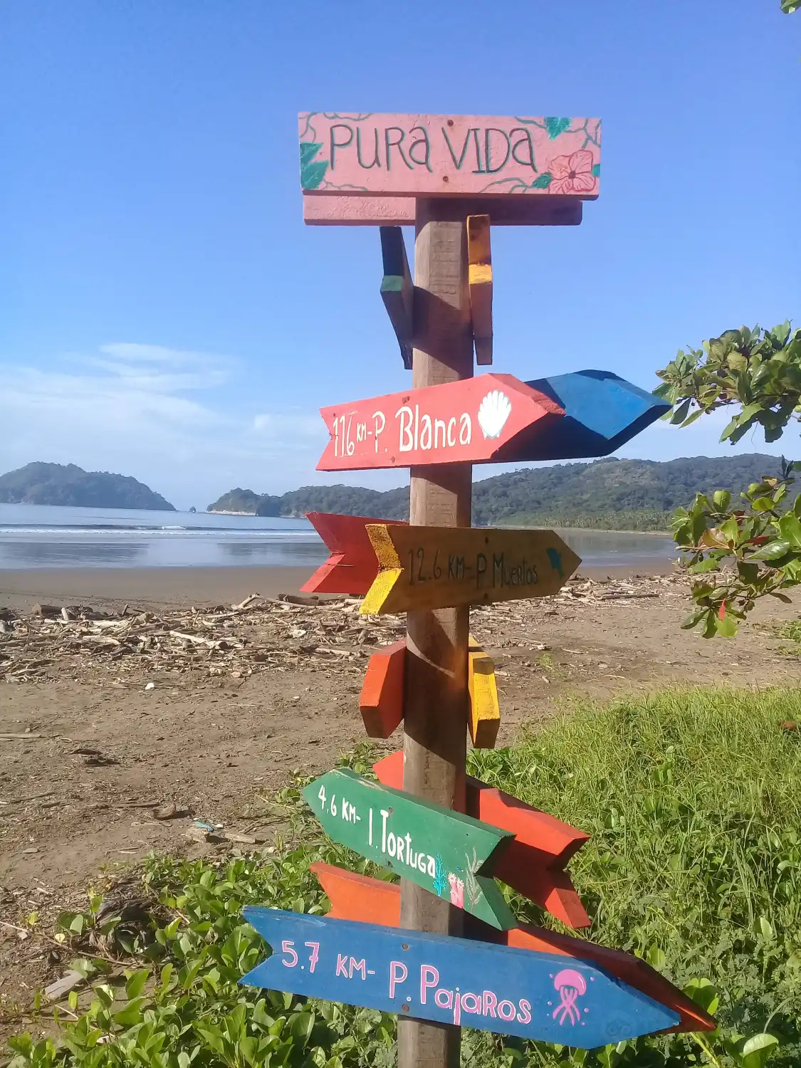 Playa Órganos附近的飯店