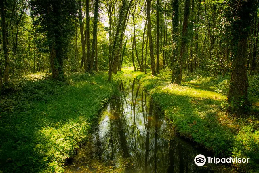 Riserva naturale Les Grangettes