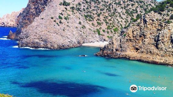 Cala Domestica