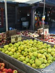 Abma's Farm Market, Greenhouse, and Barnyard Petting Zoo