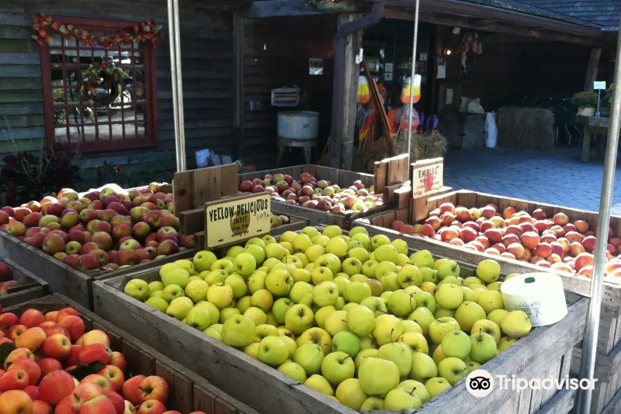 Abma's Farm Market, Greenhouse, and Barnyard Petting Zoo