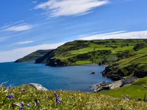 Torr Head