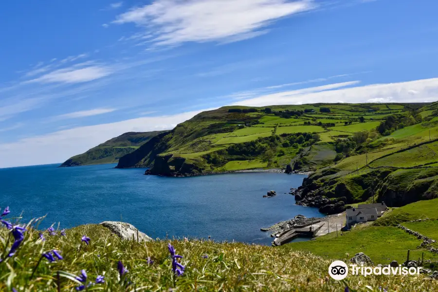 Torr Head