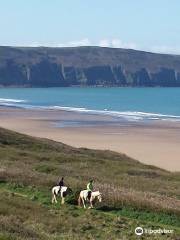 Woolacombe riding stables