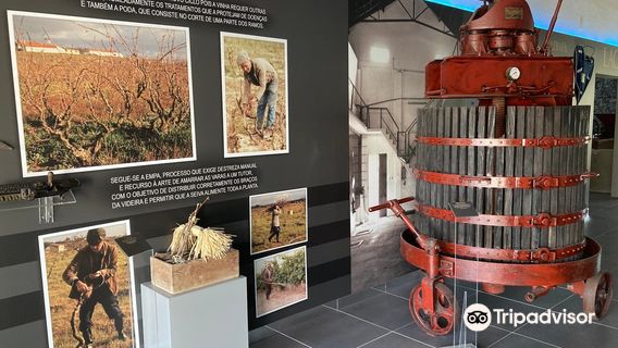 Casa Ermelinda Freitas