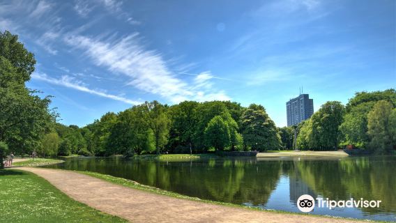 Kungsparken