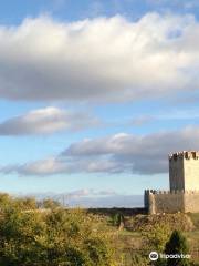 Castillo de los Téllez de Meneses de Tiedra