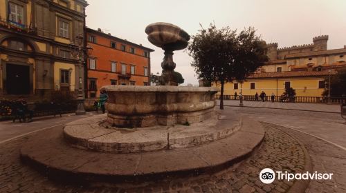 Piazza IV Novembre (Piazza del Comune)