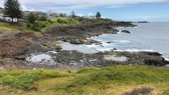 Little Blowhole