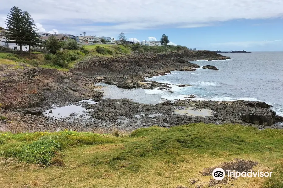 Little Blowhole