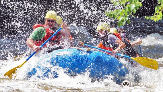 Square Eddy Expeditions