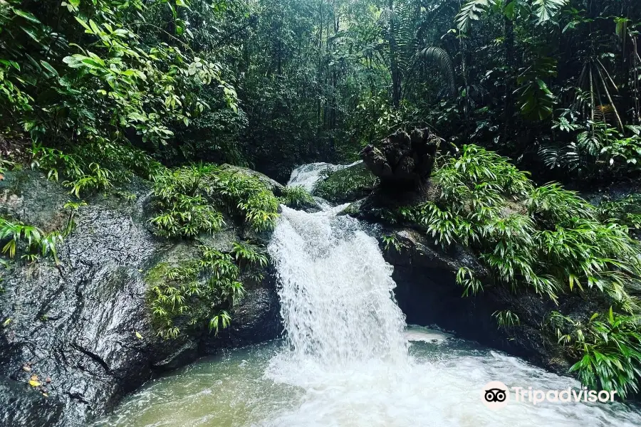 Cascada el tigre