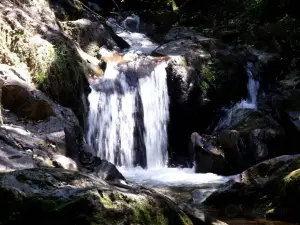 Carlos Botelho State Park