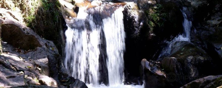 Carlos Botelho State Park