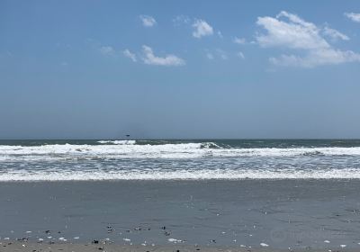 Folly Beach County Park