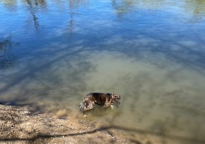 French Broad River Park