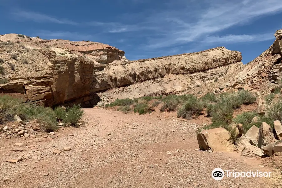 Little Wild Horse Canyon