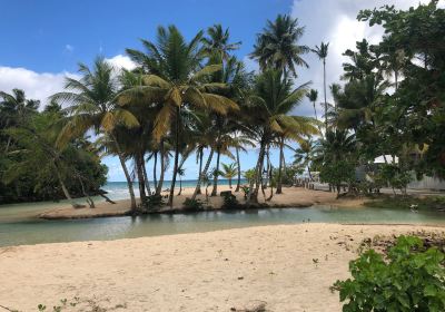 Playa Las Ballenas