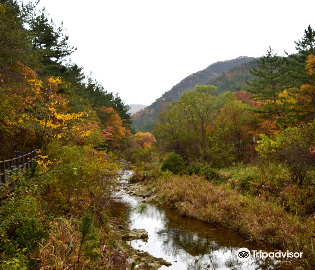 Yuseong-gu