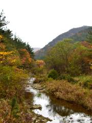 雞龍山國立公園水桶谷自然中心