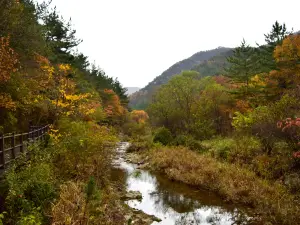 Kyeryongsan sutonggol District National Park