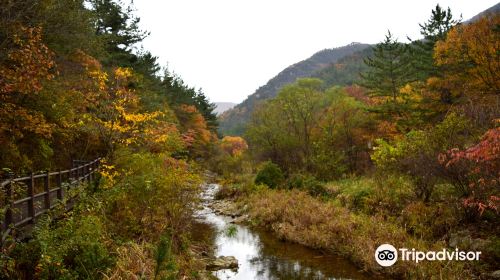 Kyeryongsan sutonggol District National Park