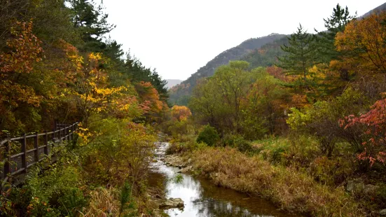 Kyeryongsan sutonggol District National Park