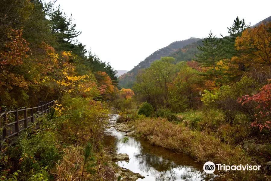 Kyeryongsan sutonggol District National Park