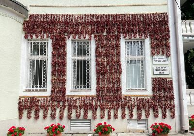 Viski Károly Museum Kalocsa