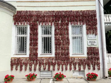 Kalocsa