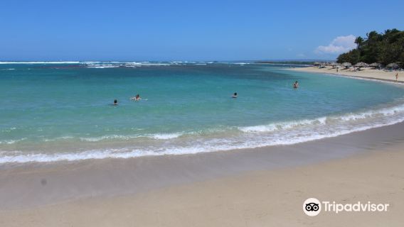 Golden Beach (Playa Dorada)