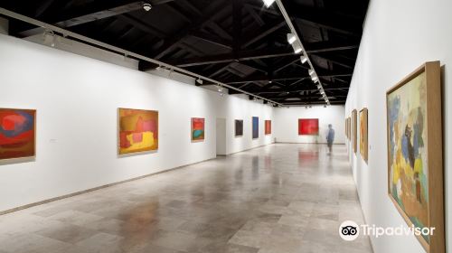 Museum of Contemporary Art Esteban Vicente