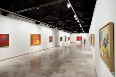 Museo de Arte Contemporáneo Esteban Vicente