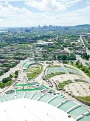 Olympic Tower/Olympic Stadium's Observatory