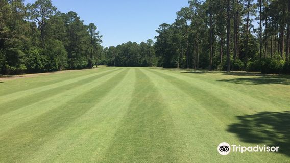 Little Ocmulgee Wallace Adams Golf Course