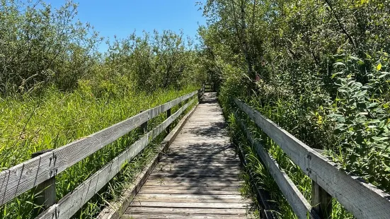 Marymoor Off-Leash Dog Park