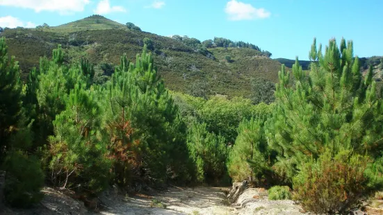 Tapada Nacional de Mafra