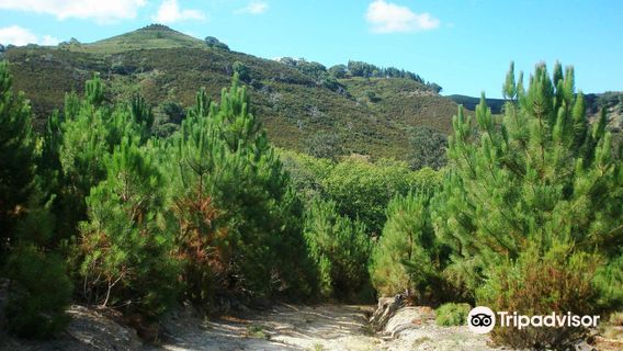 Tapada Nacional de Mafra