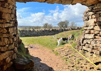 Belas Knap Long Barrow