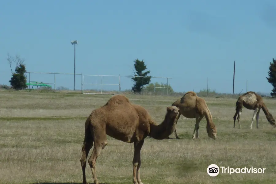 Sharkarosa Wildlife Ranch