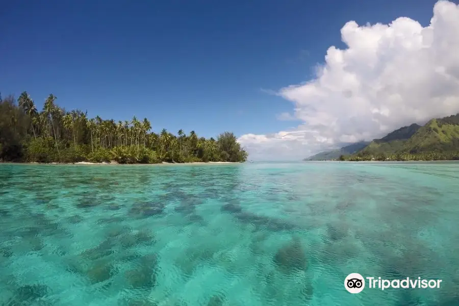 Tiahura Beach