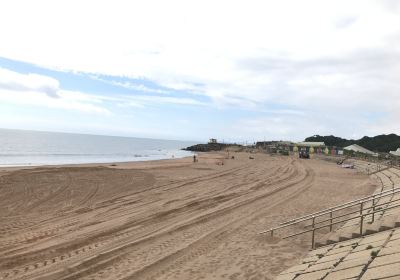 Dawlish Warren Beach