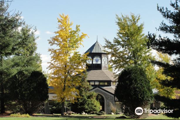 Godolphin at Jonabell Farm, home of the Darley stallions