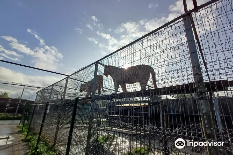 Jonušai Mini Zoo